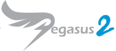 PROMISE Pegasus2 M4 (2.5